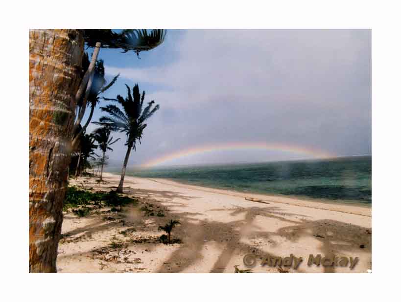 Fiji Rainbow